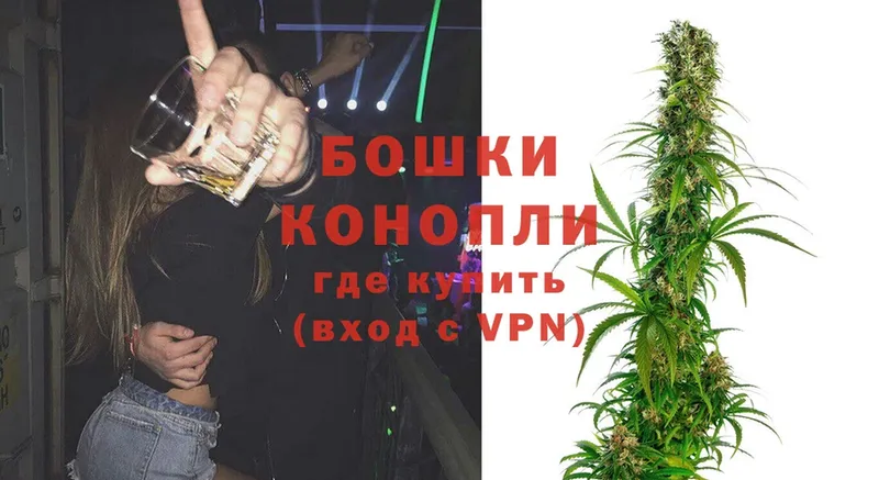 Каннабис OG Kush  Яровое 